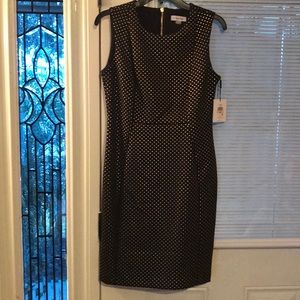 Dress : Calvin Klein 10P